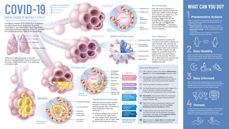 Visualising how COVID-19 affects your body